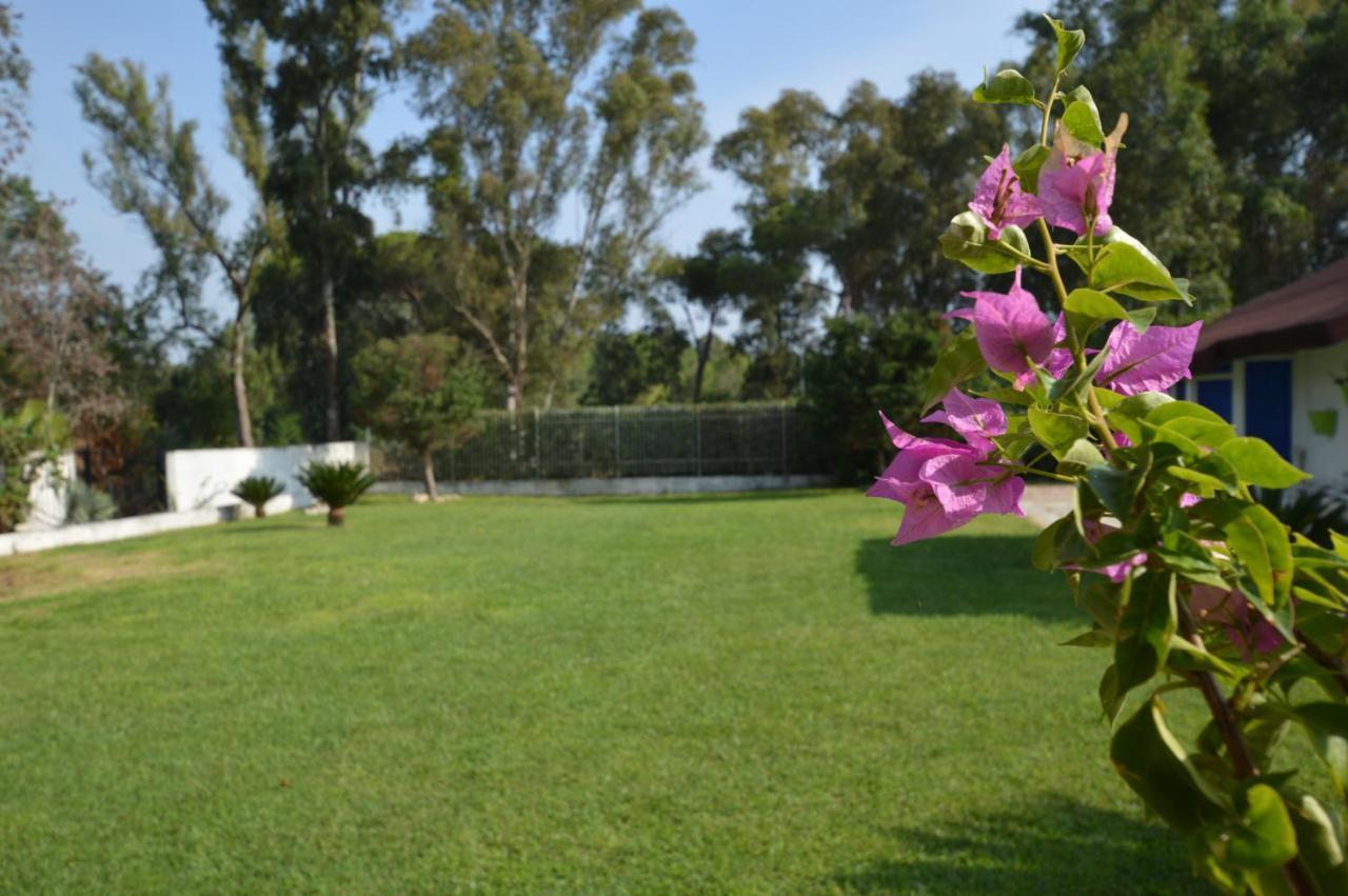 לטינה Casa Blanca B&B מראה חיצוני תמונה